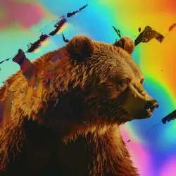 bear #3247