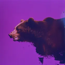 bear #3609