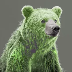 bear #4868