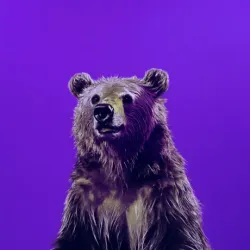 bear #3866