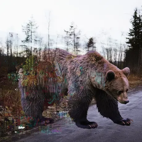 bear #530