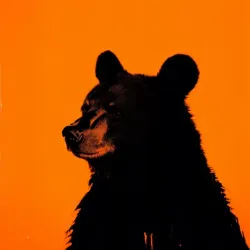 bear #1047