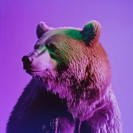bear #390