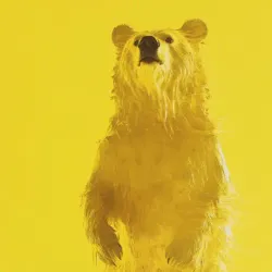 bear #3997