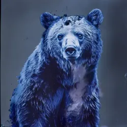 bear #2051