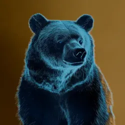 bear #1526