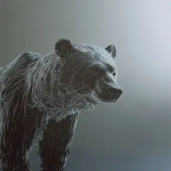 bear #4485