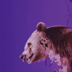 bear #1649