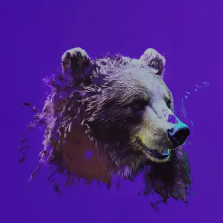 bear #4182