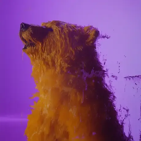 bear #3760