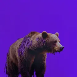 bear #1646