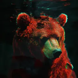 bear #2492