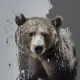 bear #4123