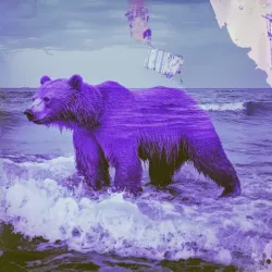 bear #3479