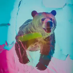 bear #869