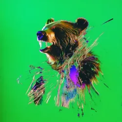 bear #1444