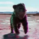 bear #3009