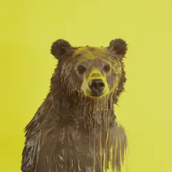 bear #3305