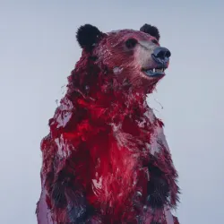 bear #2399
