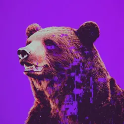 bear #1643