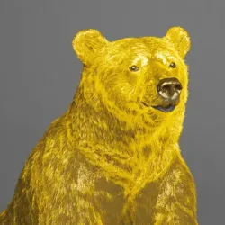 bear #4242