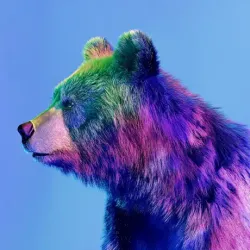 bear #1435