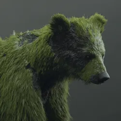 bear #1910