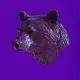 bear #3863