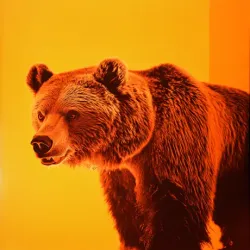 bear #1202