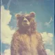 bear #541