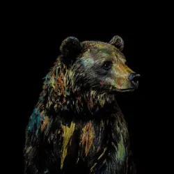 bear #3835