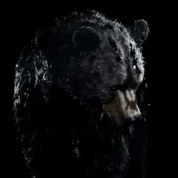 bear #900