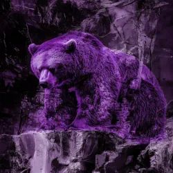 bear #2316