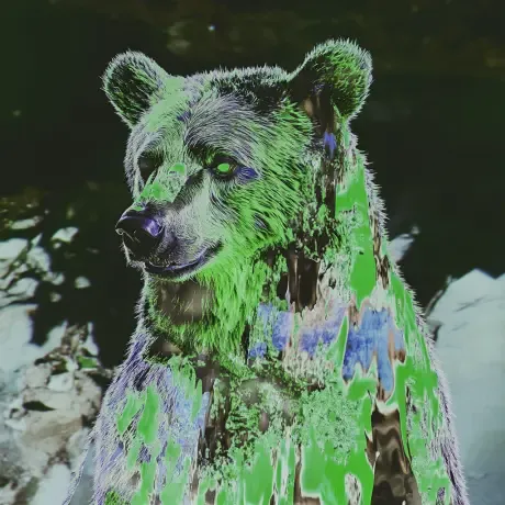 bear #2229