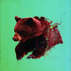 bear #4957