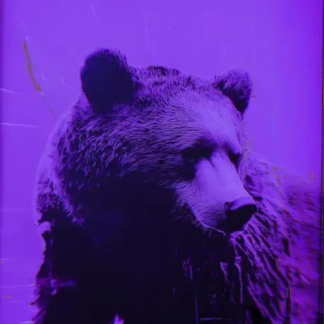 bear #187