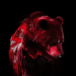 bear #4936