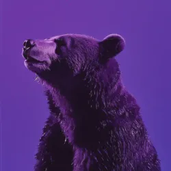 bear #4413
