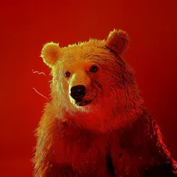 bear #706
