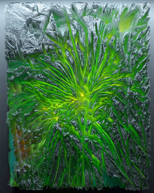 Item #21200010021 Media