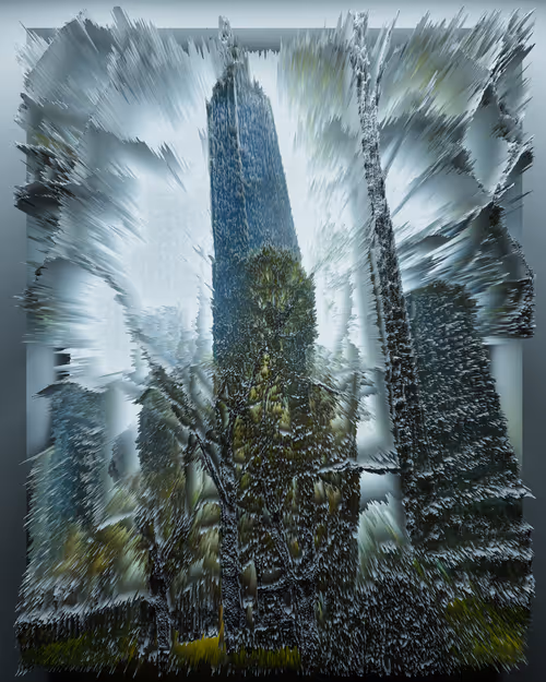 Item #21200010928 Media