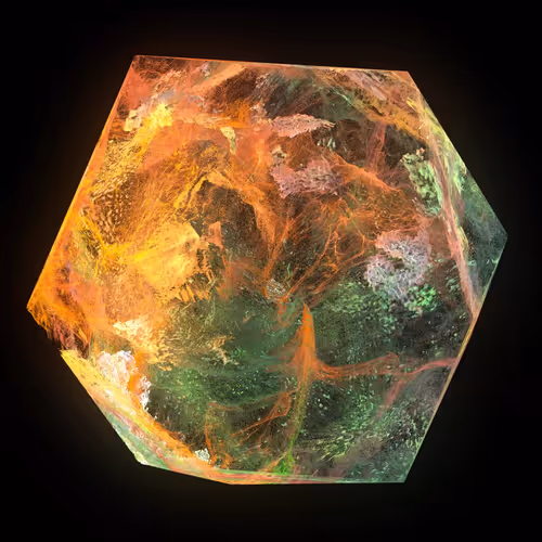 Item #4900180017 Media