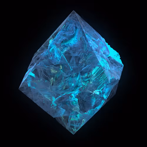 Item #4900120001 Media