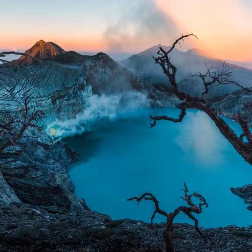 Lost & Found - TOlCufUw7V