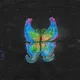 metamorphosis