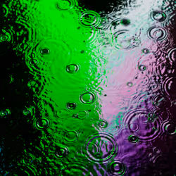 DRIP #536