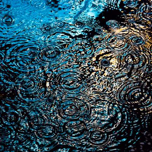Drip Drop By Dave Krugman