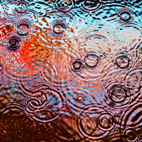 Drip Drop By Dave Krugman