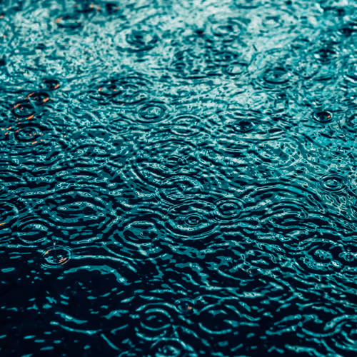 Drip Drop By Dave Krugman