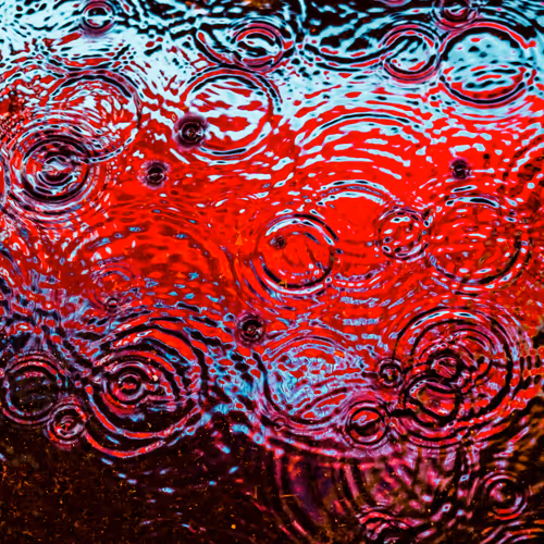 Drip Drop By Dave Krugman